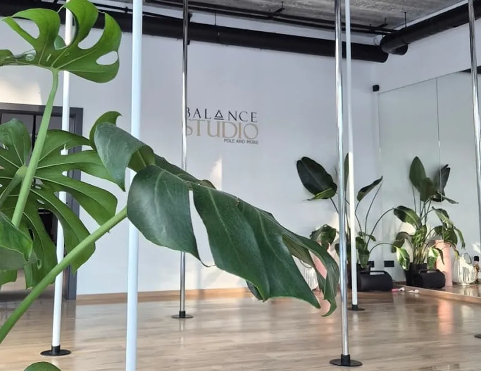 Monstera i inne rośliny przy ścianie z logo Balance Studio, w tle rurki i lustra